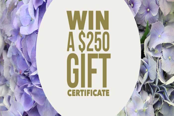 Win a $250 Flowers Gift Voucher!