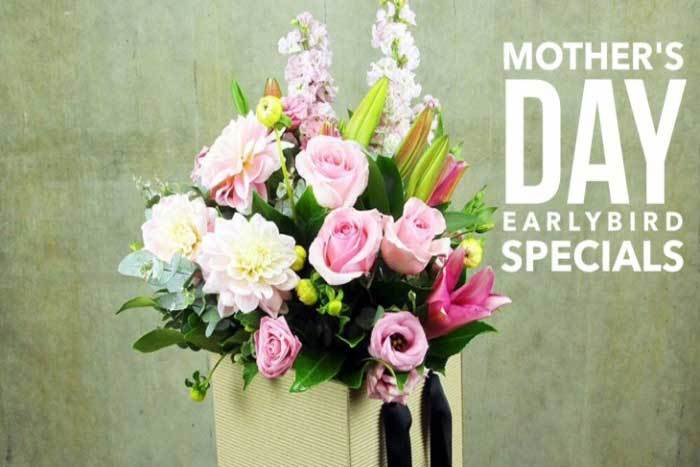 Mothers Day Gift Ideas for Organised Early Birds