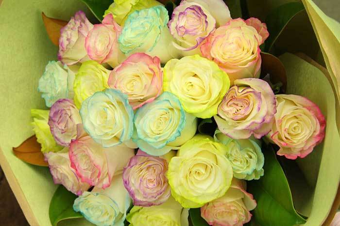 Marshmallow Roses – New & Exclusive to Flowers for Everyone!