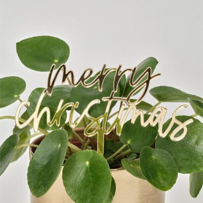 Merry Christmas Stake