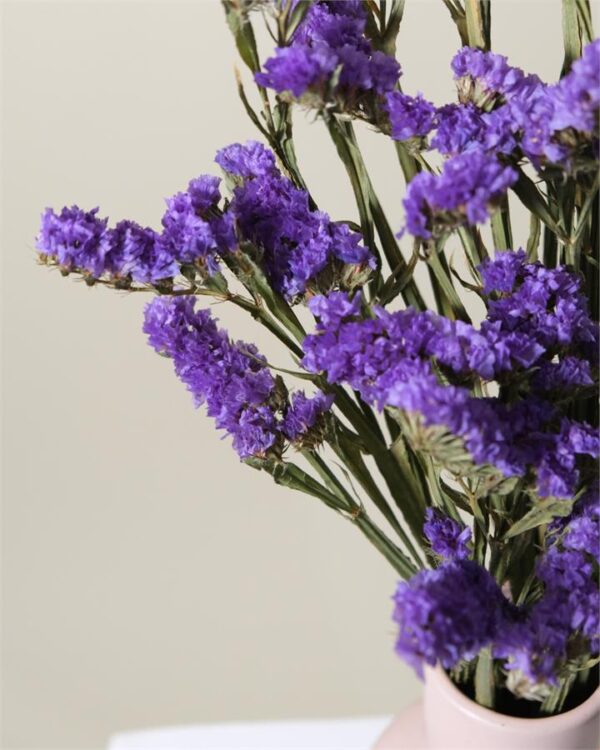 Dried Statice (Purple)