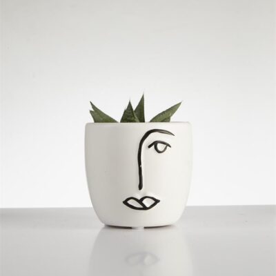 Succulent “Haworthoria” in Face Pot (60mm)