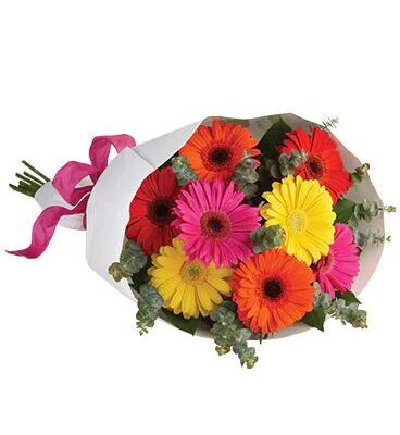 Gerbera Brights Floral Arrangement