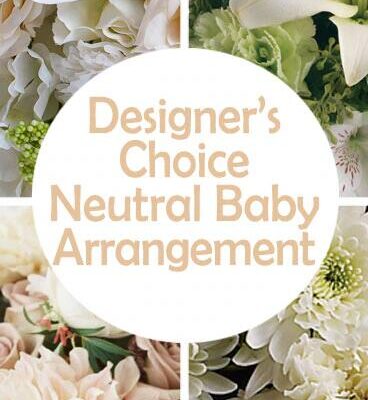 DC Neutral New Baby Arrangement Floral Arrangement