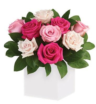 Blushing Roses Floral Arrangement